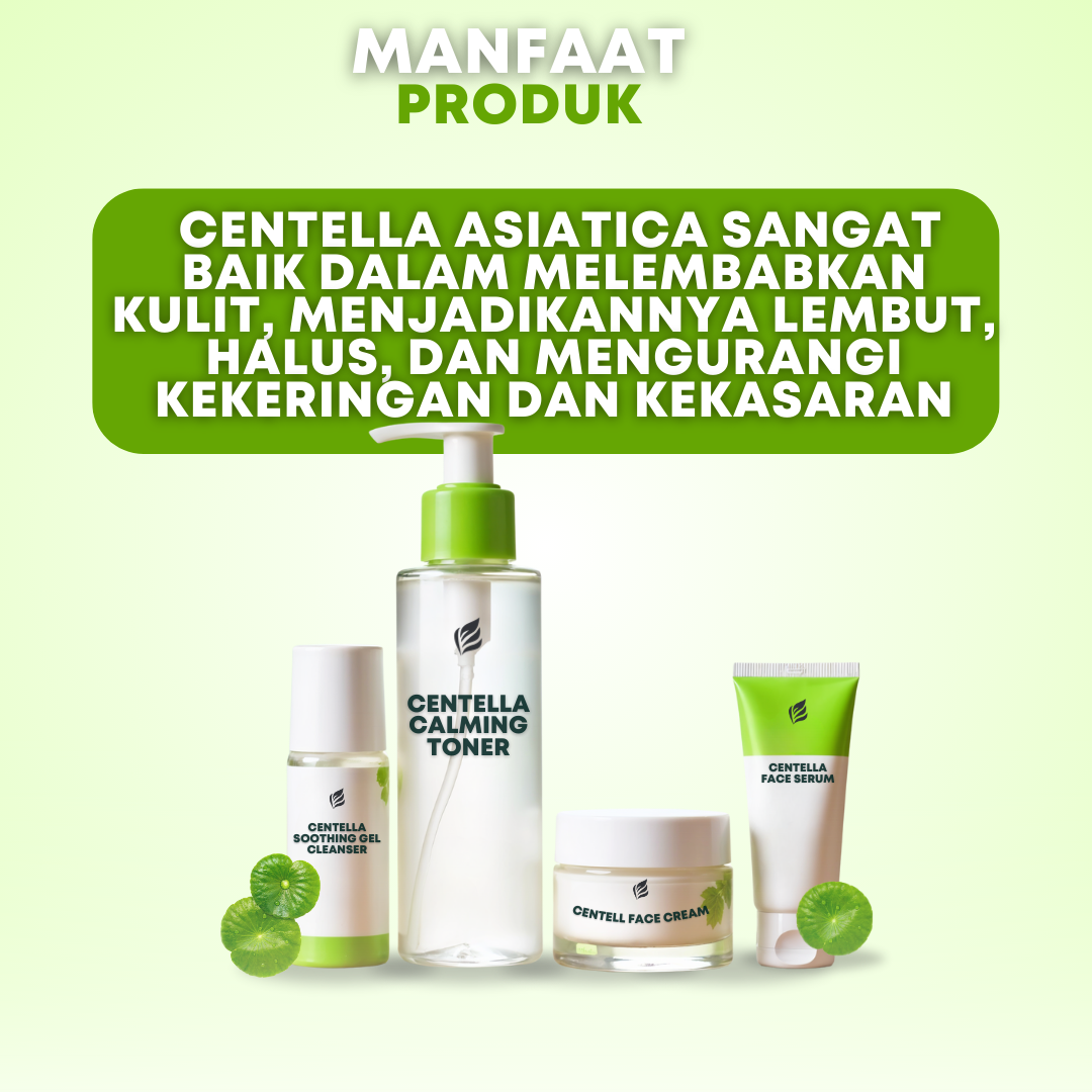 Acne Treatment with Centella Asiatica Skin Care Set