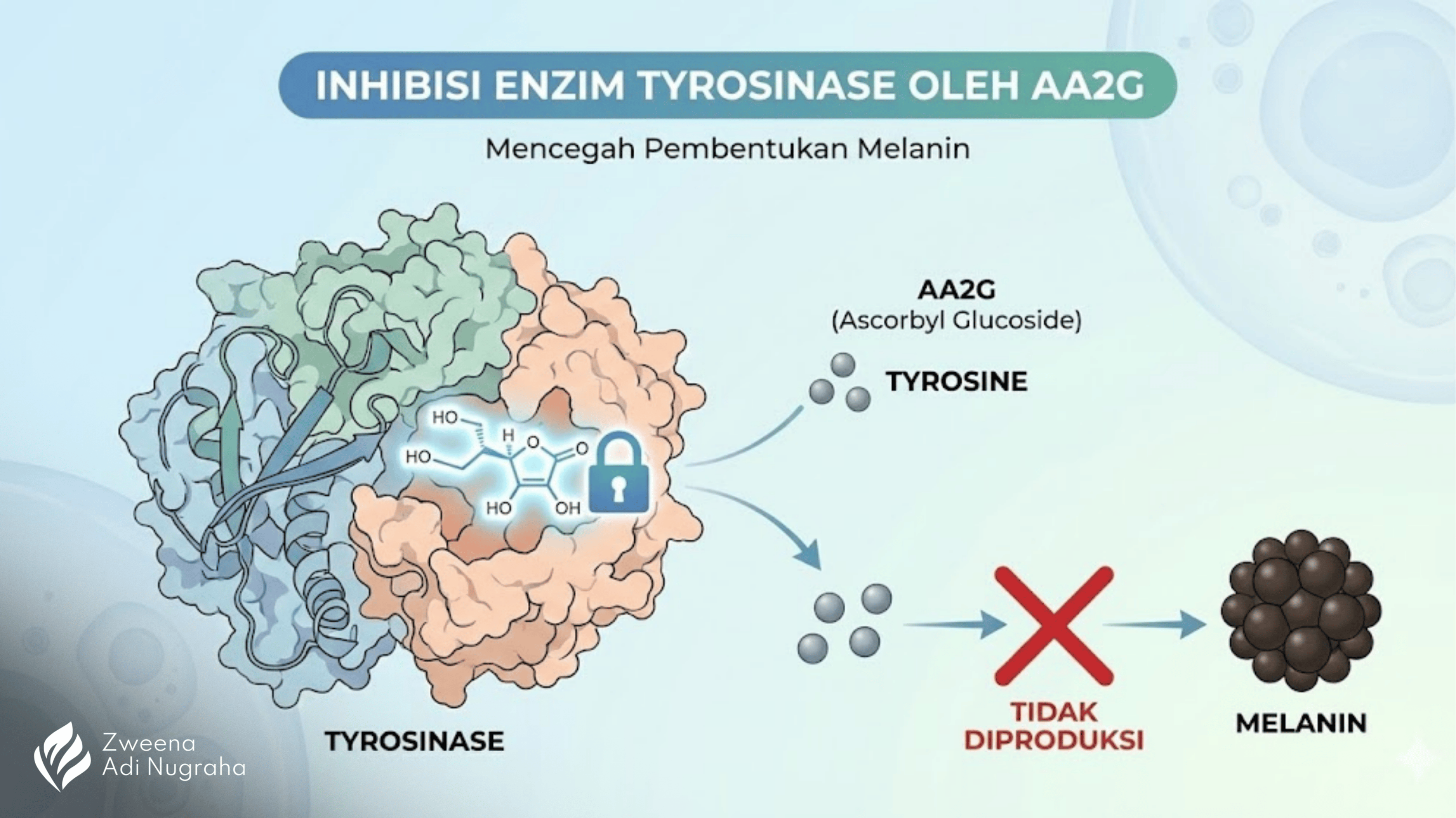 AA2G Ascorbyl Glucoside Vitamin C Zat Aktif Skincare